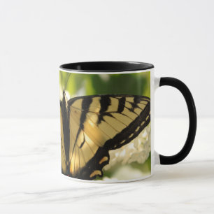 Butterfly Mug