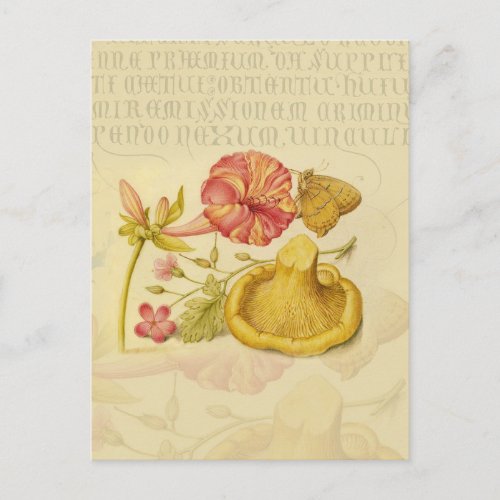 Butterfly Mushroom Flower Watercolor Painting Postcard