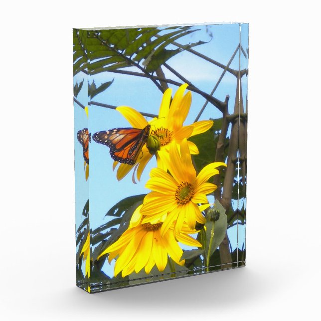 Butterfly N Sunflower Acrylic Photo Award (Left)