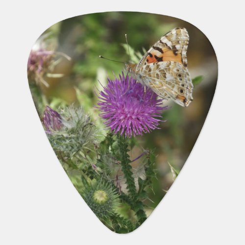 Butterfly Nature Photo Standard Guitar Pick