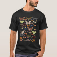 Butterfly Natures Pollinators For Gardener