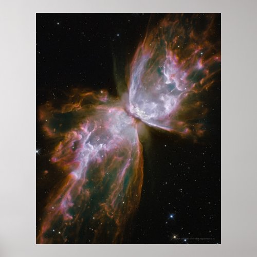 Butterfly Nebula 16x20 12x16 Poster