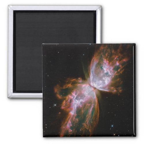 Butterfly Nebula Magnet