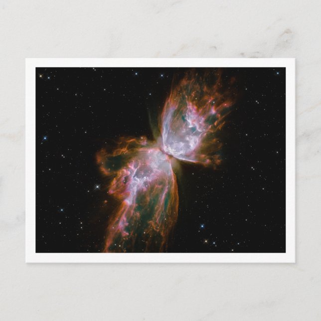 Butterfly Nebula White Border Postcard (Front)