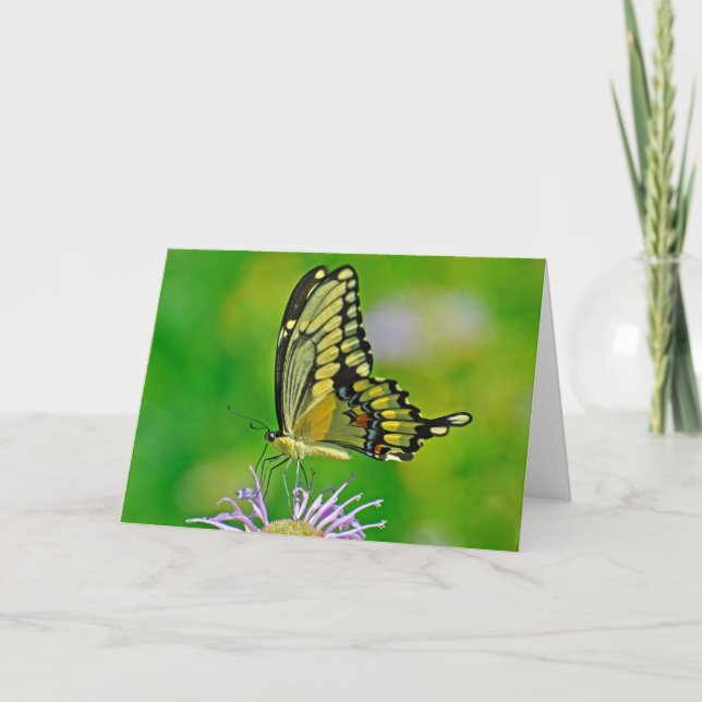 Butterfly New Year Blessings Holiday Card (Front)
