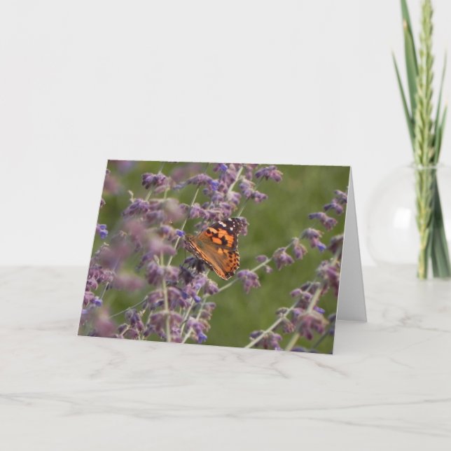 Butterfly Note Card (Front)
