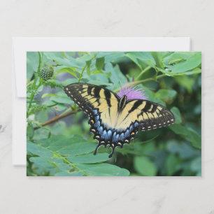 Butterfly Note Card