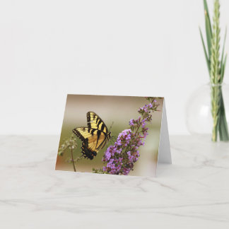 Butterfly Note cards