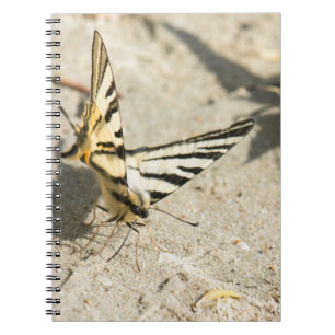 Butterfly Notebook