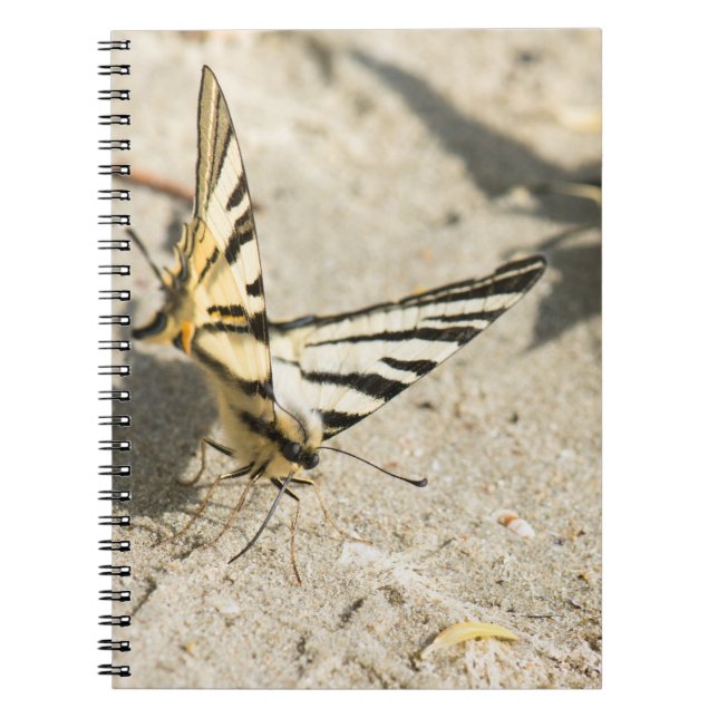 Butterfly Notebook (Front)