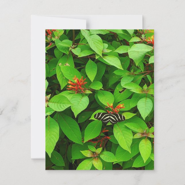 Butterfly Notecard (Front)
