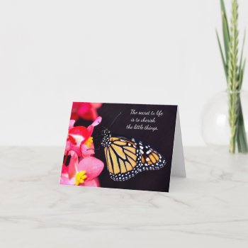 Butterfly Notecards by Gigglesandgrins at Zazzle