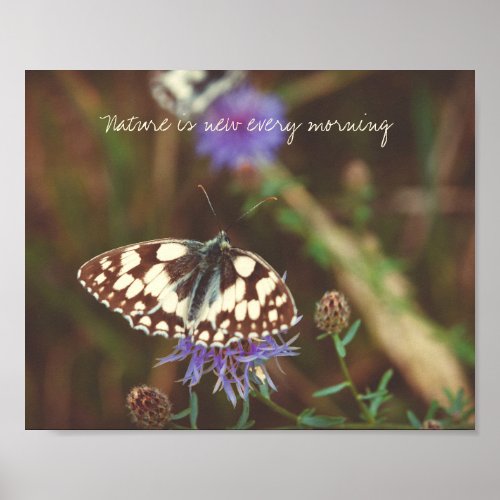 Butterfly on a blue flower poster