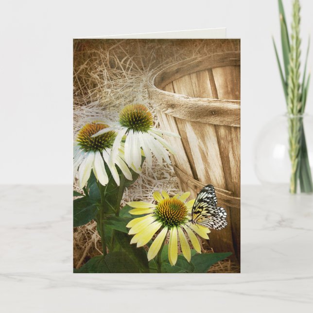 Butterfly On a Cone Flower Card (Front)