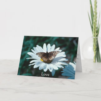 Butterfly on a daisy card