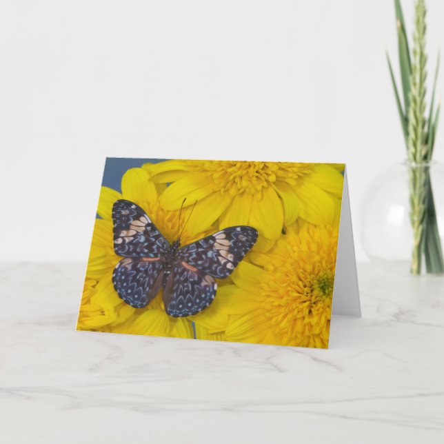 Butterfly on a Yellow Flower Card (Front)