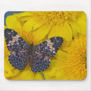 Butterfly on a Yellow Flower Mouse Pad