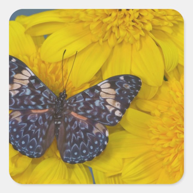 Butterfly on a Yellow Flower Square Sticker (Front)