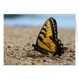 Butterfly on Beach Cards