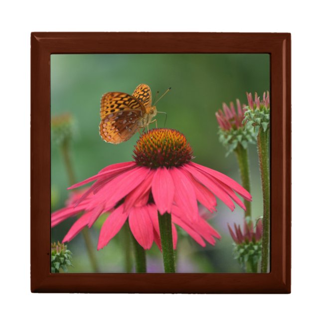 Butterfly On Cone Flower Keepsake Box (Front)