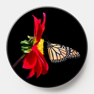 Butterfly on Dahlia Flower Phone Grips PopSocket
