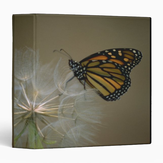 Butterfly on dandelion 3 ring binder (Front/Spine)
