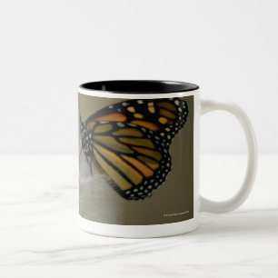 Butterfly on dandelion Two-Tone coffee mug