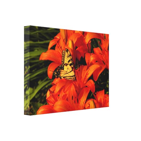 Butterfly on Day Lilies Canvas Print
