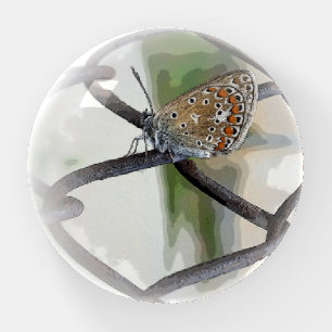 butterfly on fence paperweight