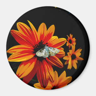 Butterfly on Fiery Orange Flower – Bold Nature Art Magnet