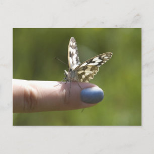 butterfly on finger postcard