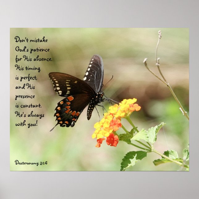 Butterfly on Floral w Verse from Deuteronomy 31:6 Poster (Front)