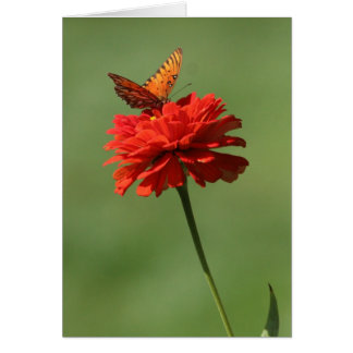 Butterfly on flower cards