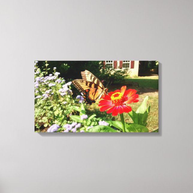 Butterfly on Flower in Front of House - Horizontal Canvas Print (Front)