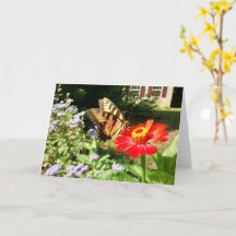Butterfly on Flower in Front of House -Horizontal