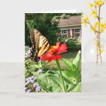 Butterfly on Flower in Front of House - Vertical