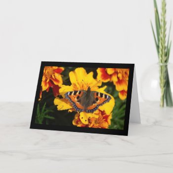 Butterfly On Flower Note Card by pulsDesign at Zazzle