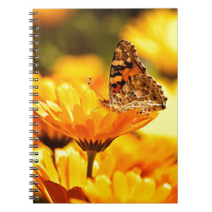 Butterfly on flower notebook