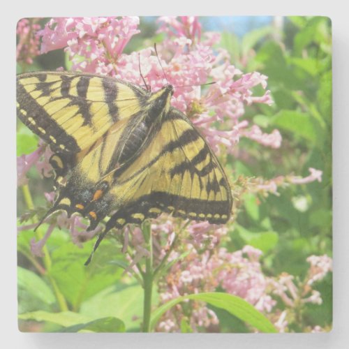 Butterfly on flower stone coaster