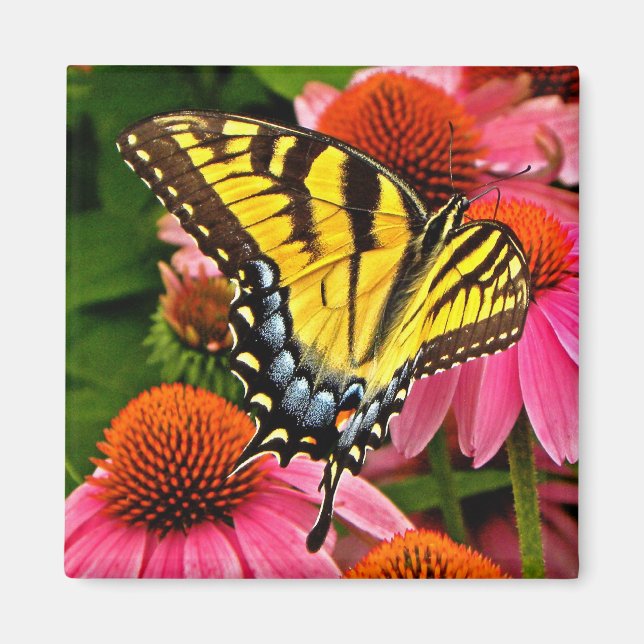 Butterfly on Flower v22 Magnet (Front)