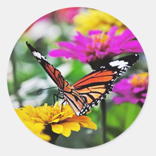 Butterfly on Flowers 2 Classic Round Sticker