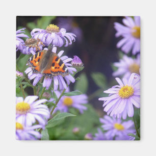 Butterfly On Flowers Magnet