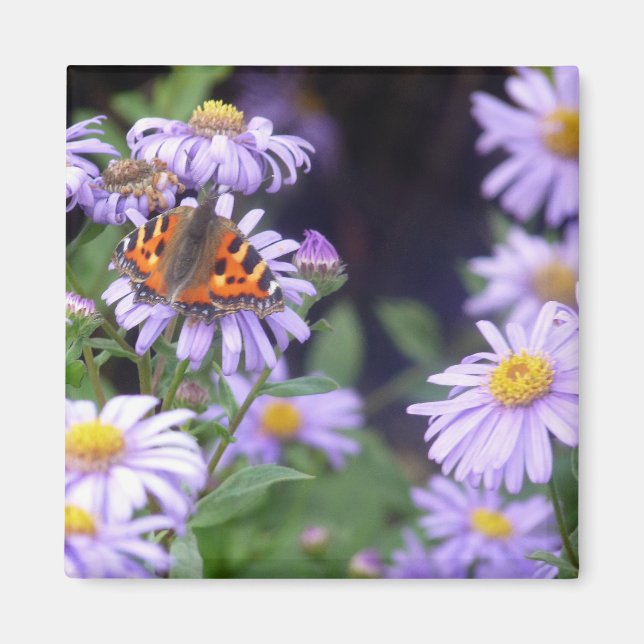 Butterfly On Flowers Magnet (Front)