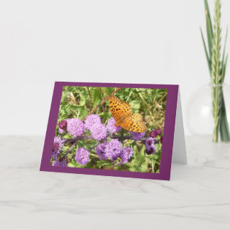 Butterfly on Gayfeather Blank Note Card