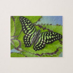 Butterfly on Green Jigsaw Puzzle