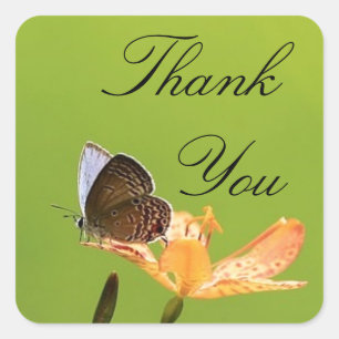 Butterfly on Green Thank You Square Sticker