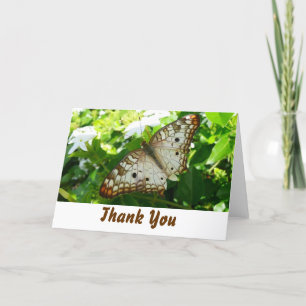 Butterfly on Jasmine Thank You Card