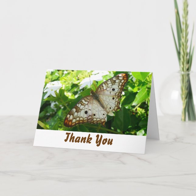 Butterfly on Jasmine Thank You Card (Front)