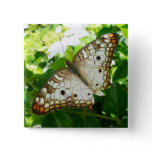 Butterfly on Jasmine Tropical Nature Photography Button