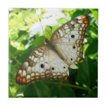 Butterfly on Jasmine Tropical Nature Photography Ceramic Tile